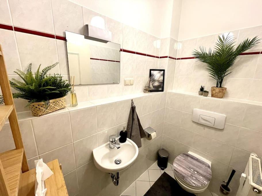 Casarina - Stilvoller Altbau In Zentraler Lage Apartman Drezda Kültér fotó